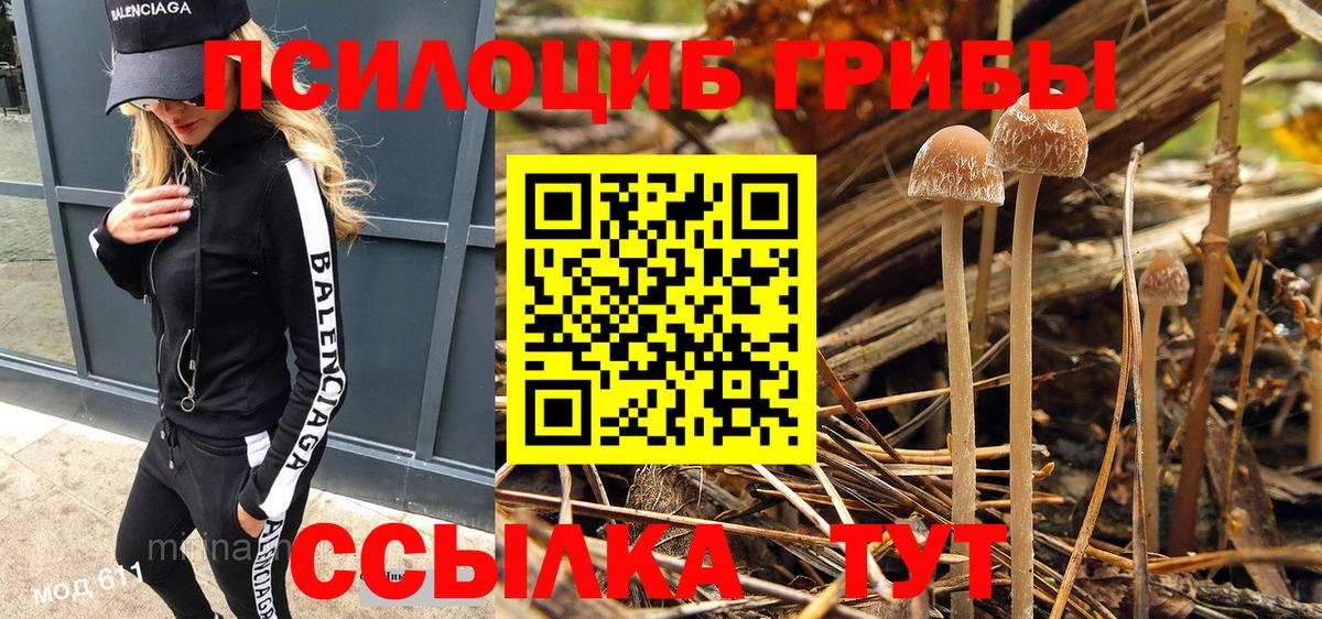 Галлюциногенные грибы Cubensis Новокузнецк