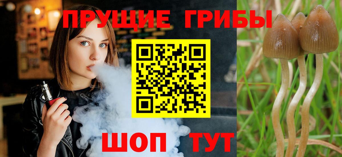 Галлюциногенные грибы мицелий  Вход с VPN  Новокузнецк 
